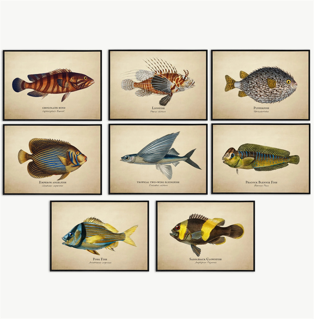 Aquarium Fish Home - Vintage Pictures Tropical Fish Jellyfish Shells