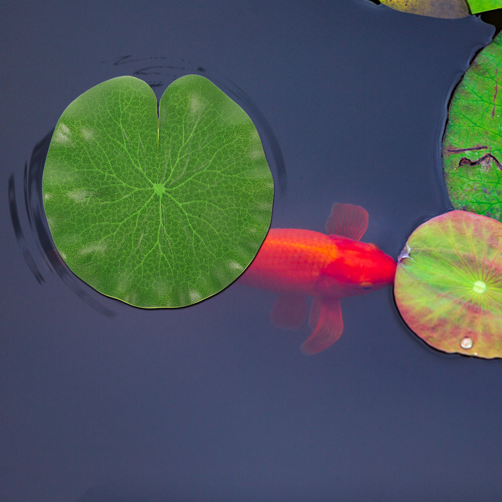Aquarium Fish Home - 6Pcs Green PU Simulation Lotus Leaves