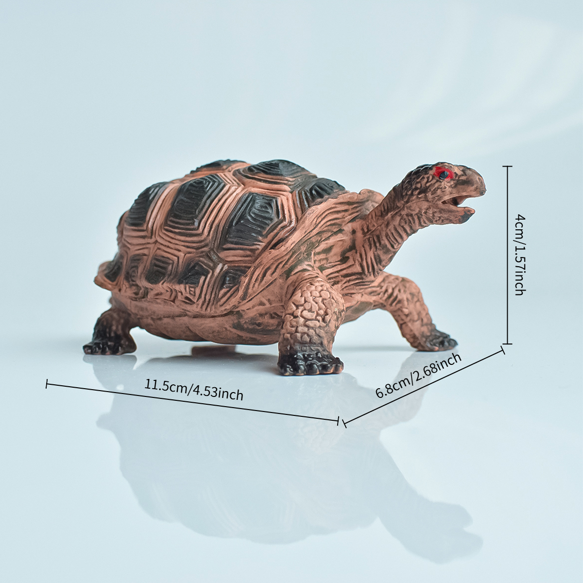 Painted Realistic Animal Turtl - Aquarium Fish Saltwater ulasan dan harga
