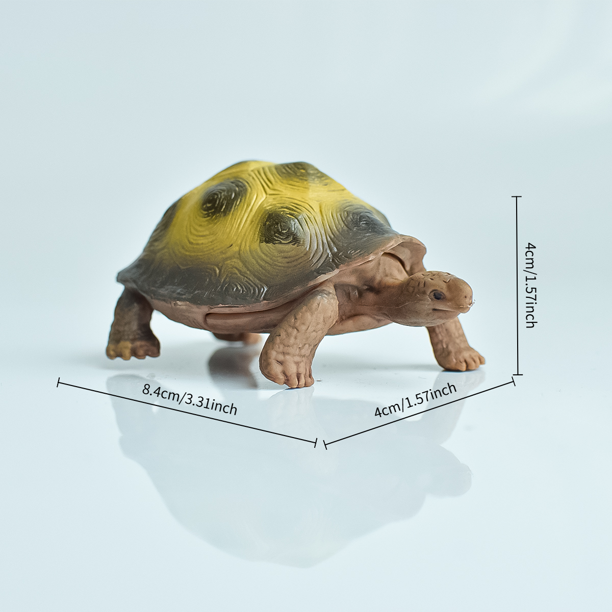 Painted Realistic Animal Turtl - Aquarium Fish Saltwater ulasan dan harga