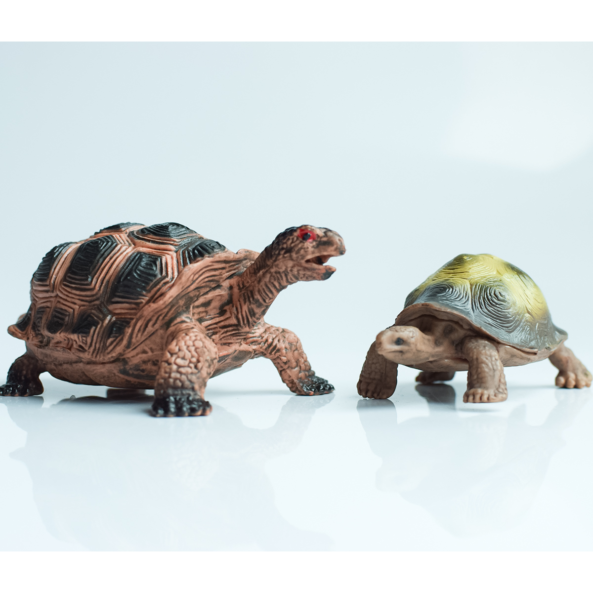 Painted Realistic Animal Turtl - Aquarium Fish Saltwater ulasan dan harga
