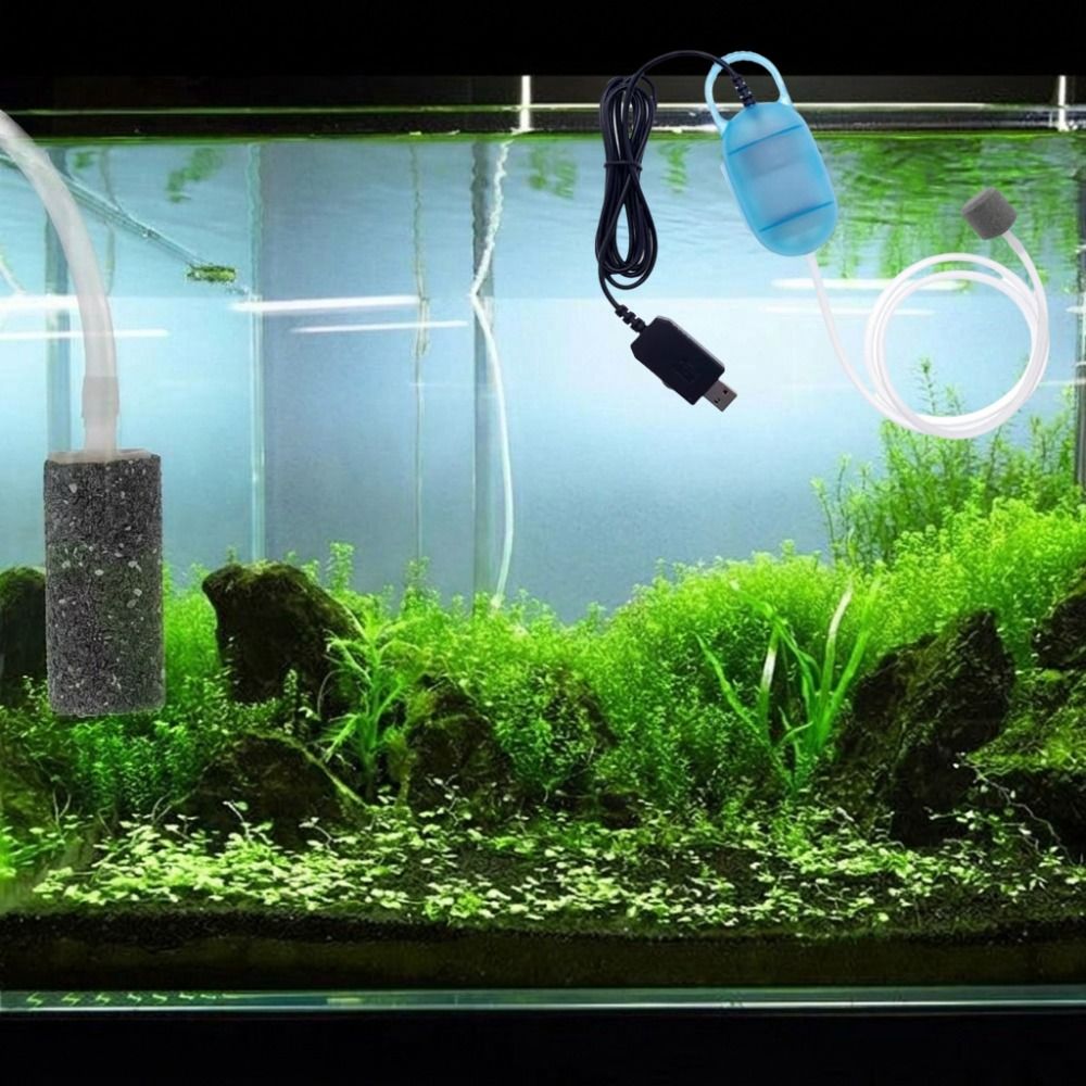 Aquarium Supplies Mini Fish Ta - Aquarium Fish And Supplies ulasan dan harga