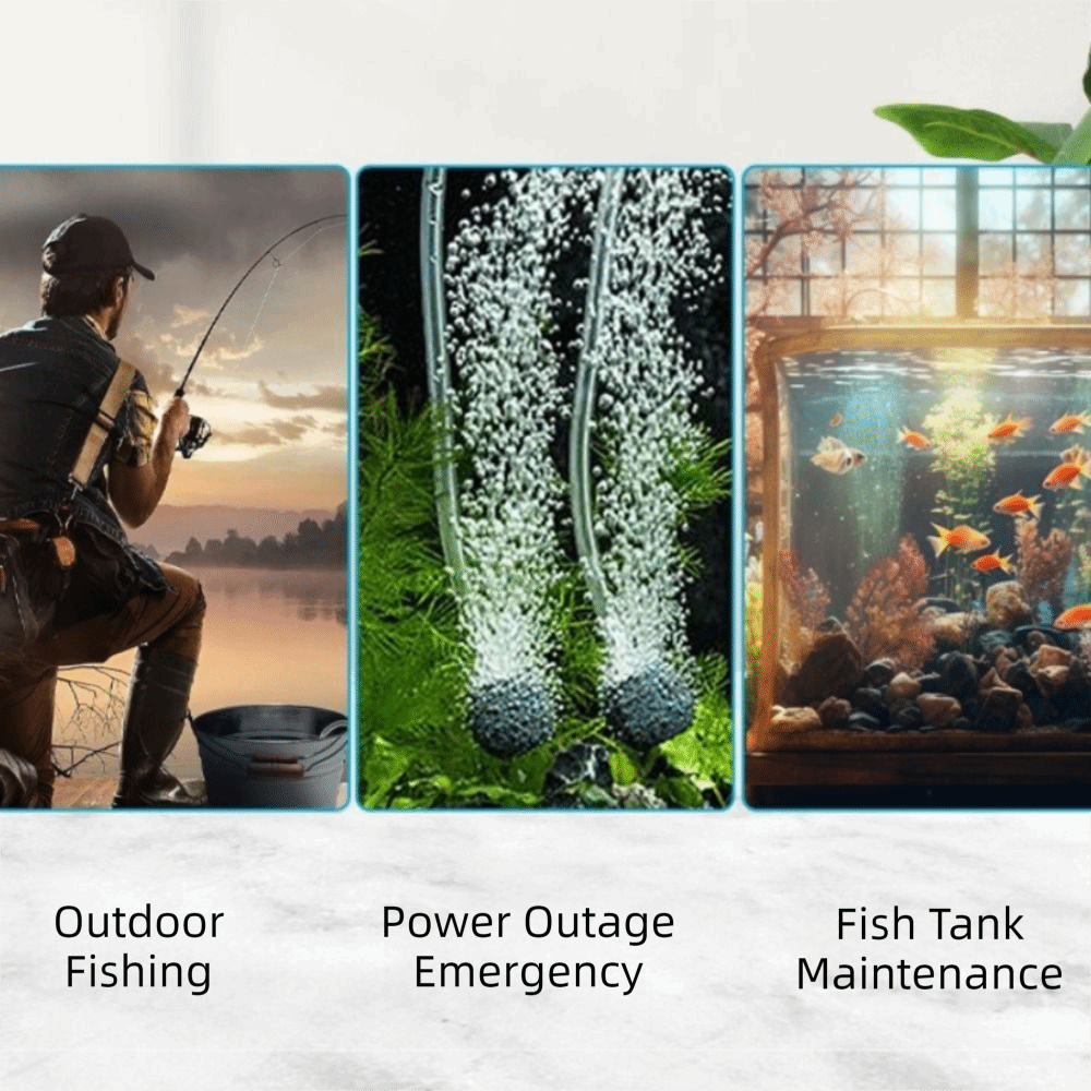 Aquarium Supplies Mini Fish Ta - Aquarium Fish And Supplies ulasan dan harga