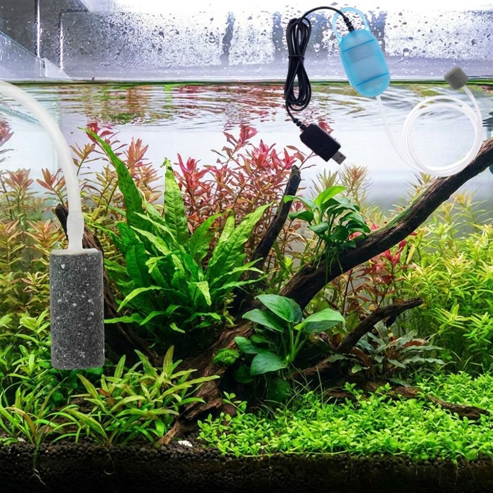 Aquarium Supplies Mini Fish Ta - Aquarium Fish And Supplies ulasan dan harga