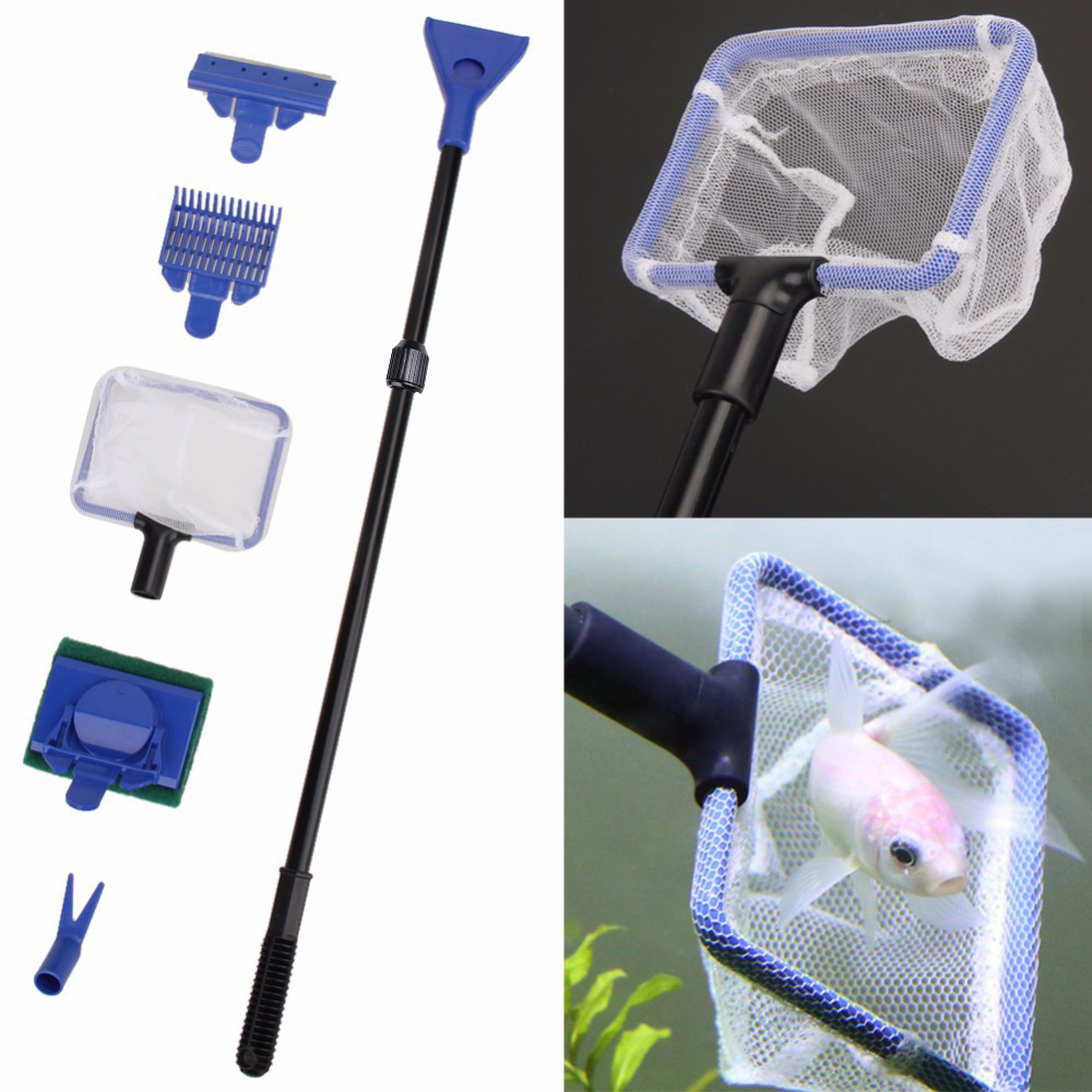 2019 New Arrival 5 in 1 Aquari - Aquarium Fish Quality ulasan dan harga