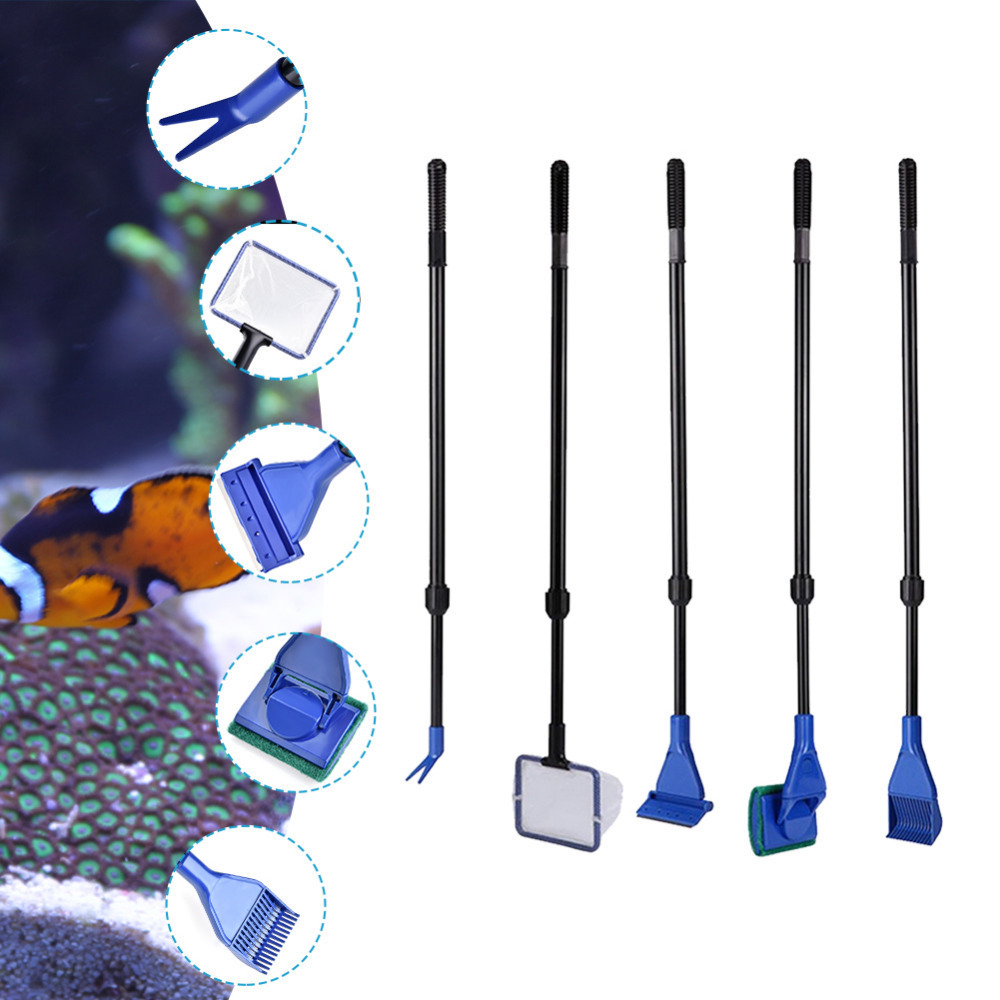 2019 New Arrival 5 in 1 Aquari - Aquarium Fish Quality ulasan dan harga