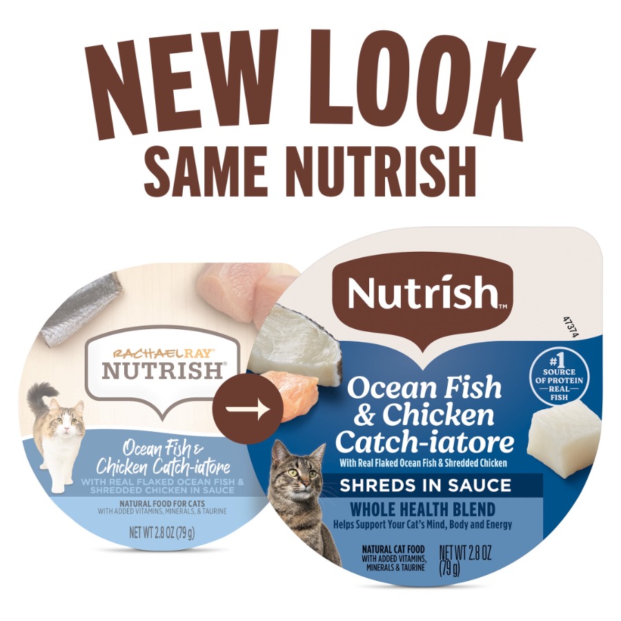 Grain-Free Wet Cat Food for In - Fish Food Flake ulasan dan harga