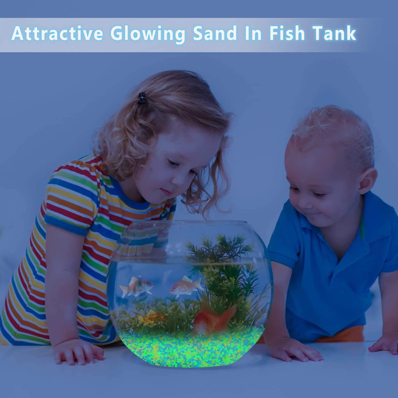 1000Pcs Luminous Sand Glow In  - Aquarium Fish Saltwater ulasan dan harga