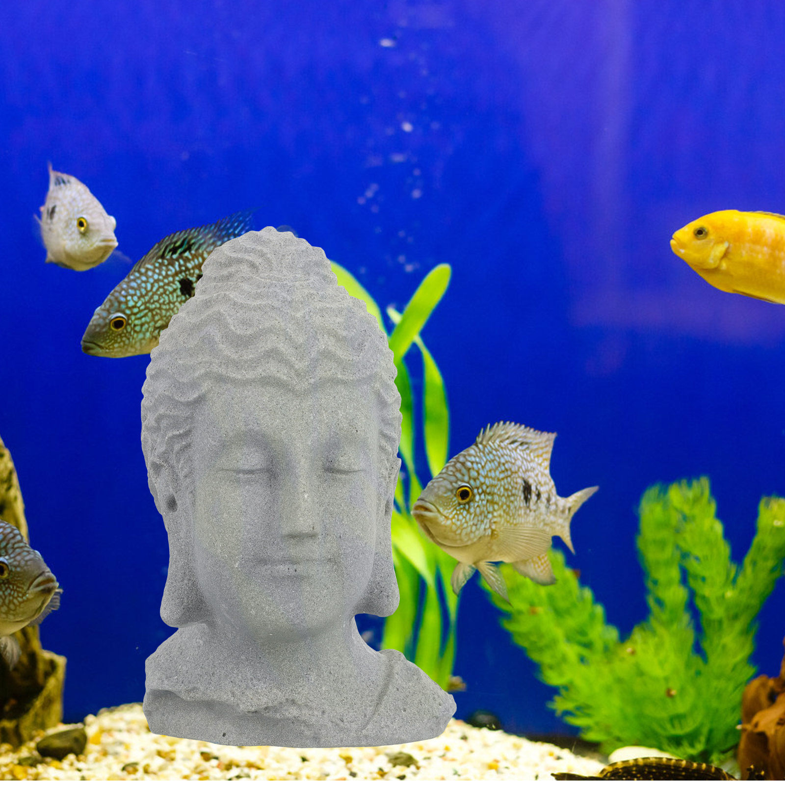 Buddha Head Statue Meditating  - Aquarium Fish Home ulasan dan harga