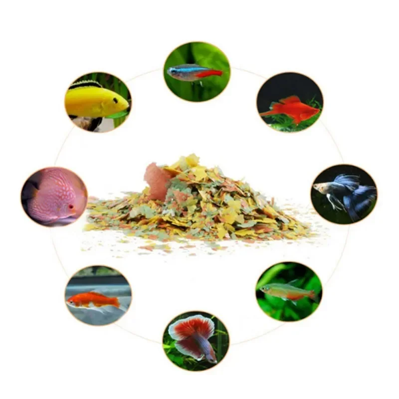Fish Food Coloring and Brighte - Fish Food Flake ulasan dan harga