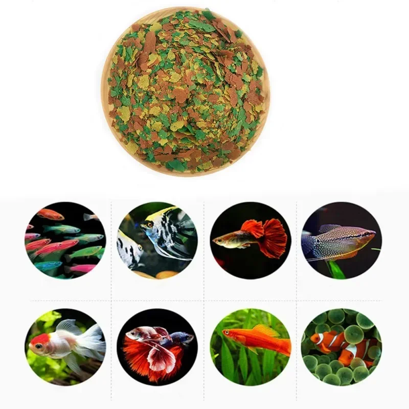 Fish Food Coloring and Brighte - Fish Food Flake ulasan dan harga