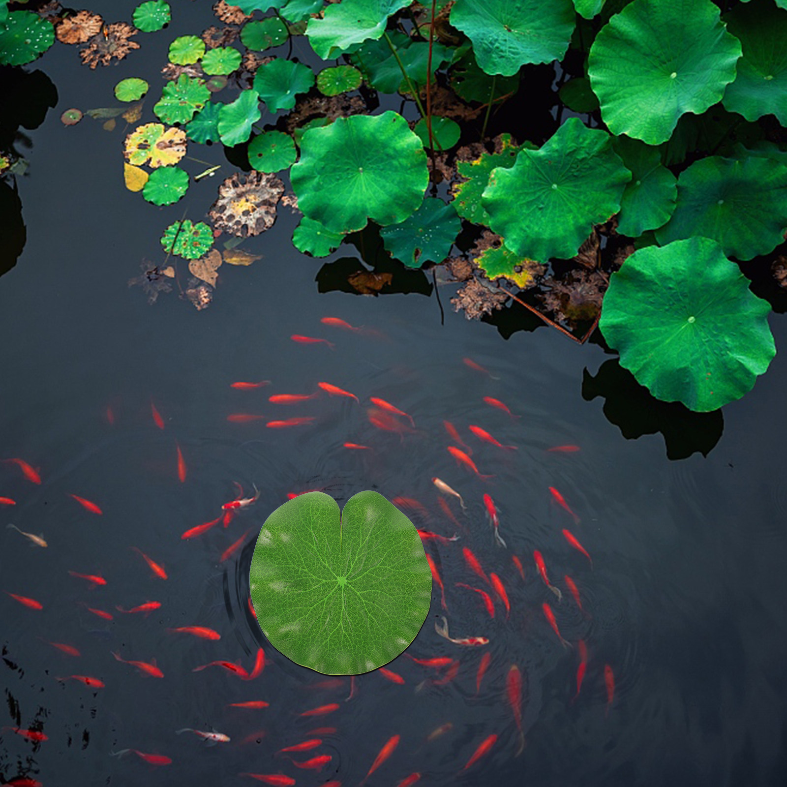 6Pcs Green PU Simulation Lotus - Aquarium Fish Home ulasan dan harga