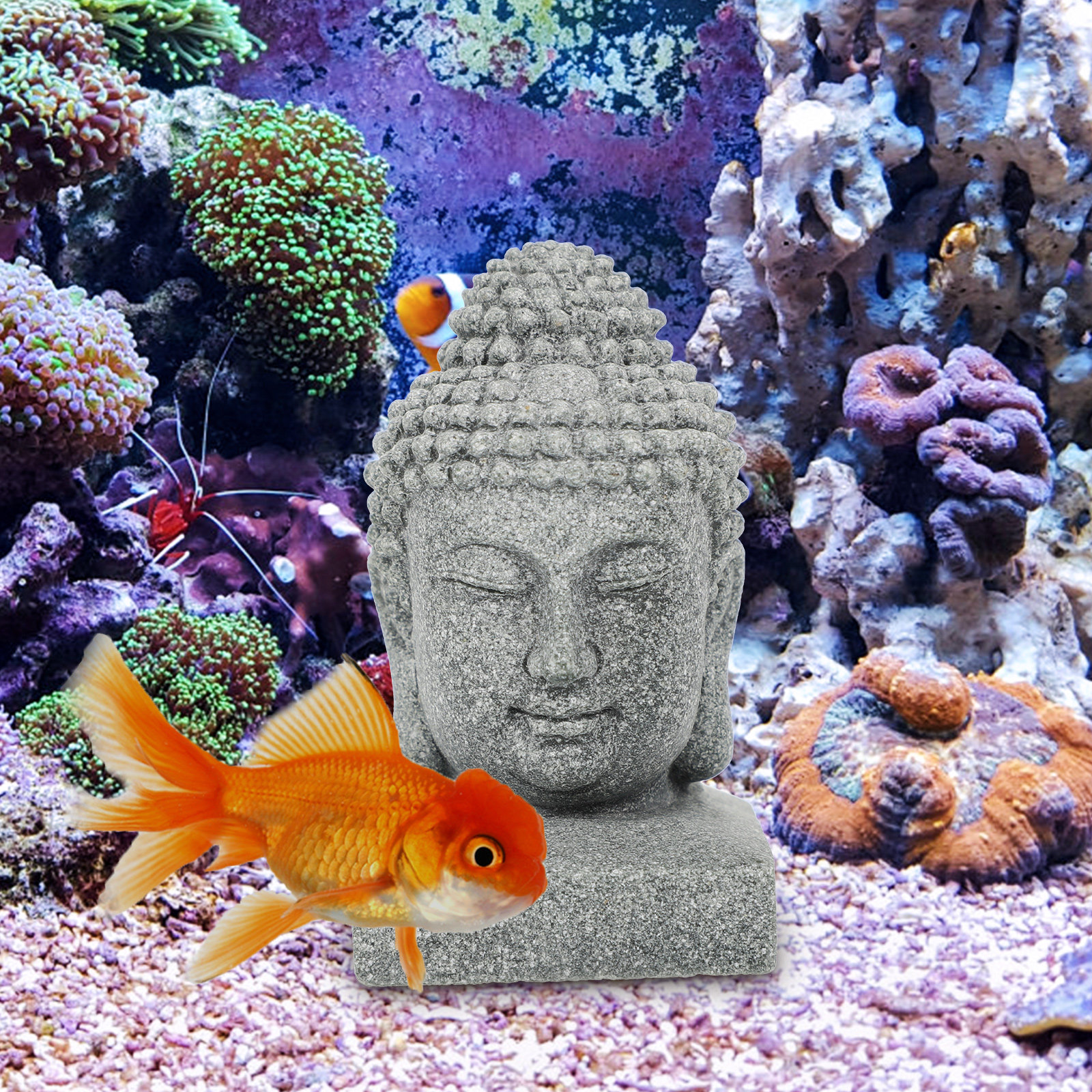 Desktop Buddha Statue Chinese  - Aquarium Fish Home ulasan dan harga