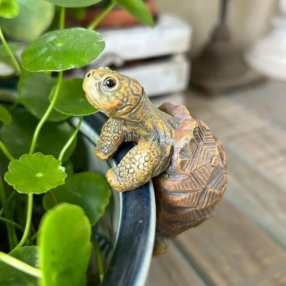 Fishing Turtle Hanging Turtle  - Aquarium Fish Saltwater ulasan dan harga