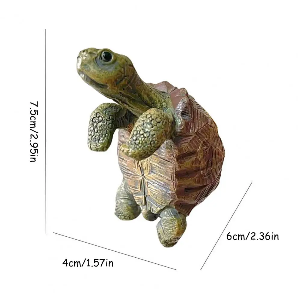 Fishing Turtle Hanging Turtle  - Aquarium Fish Saltwater ulasan dan harga