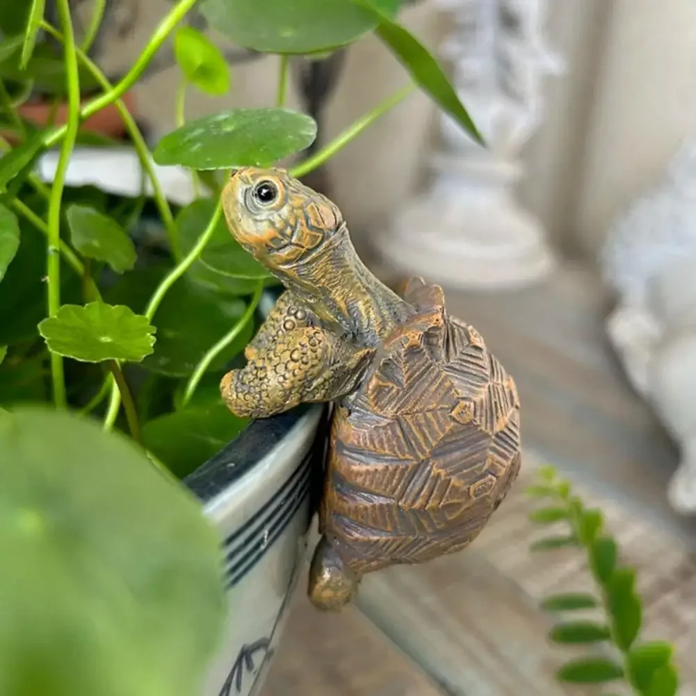Fishing Turtle Hanging Turtle  - Aquarium Fish Saltwater ulasan dan harga