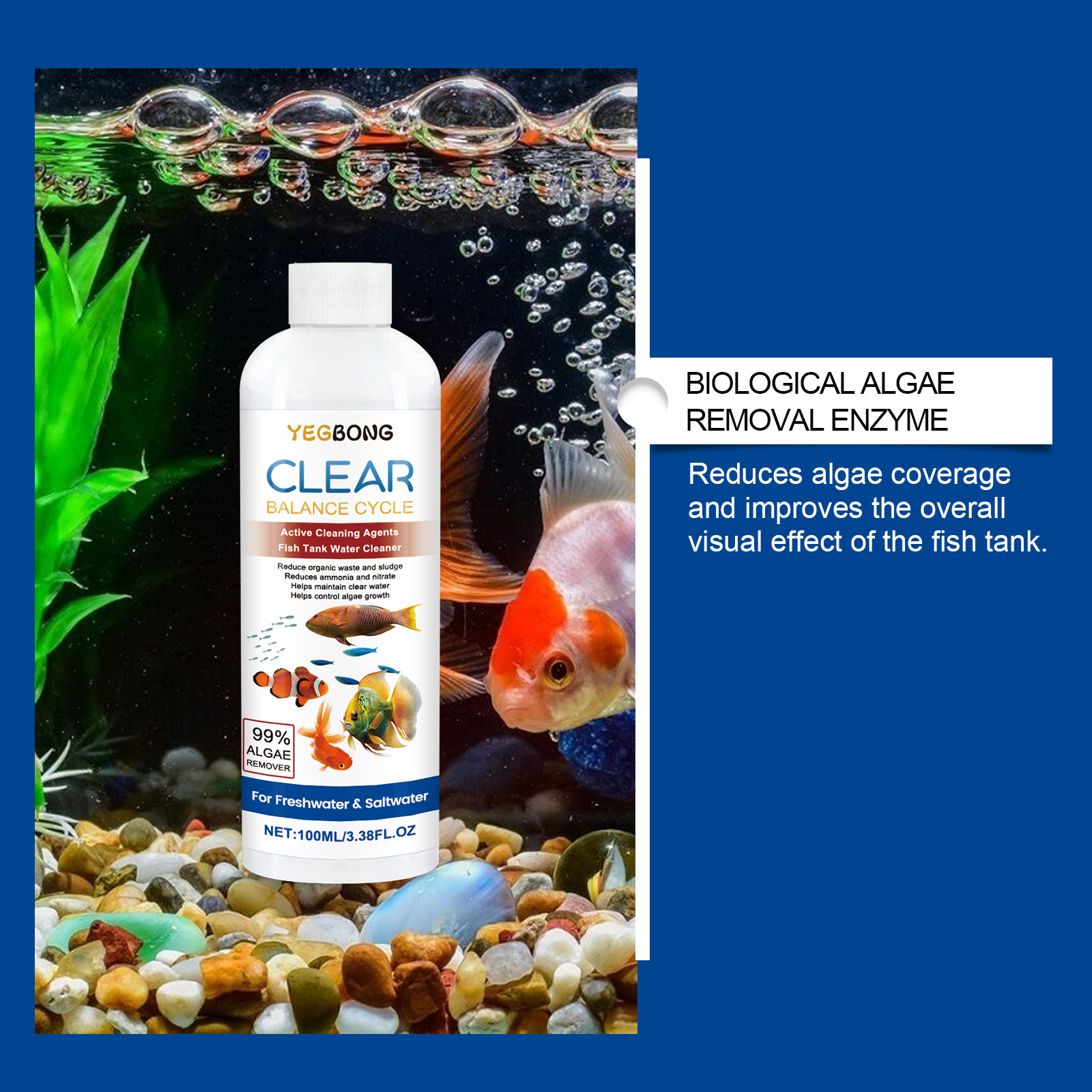 Algae Remover for Fish Tanks,  - Aquarium Fish Quality ulasan dan harga