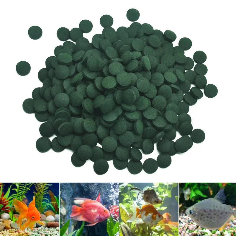 100/500/1000PCS Spirulina Flak - Fish Food Flake ulasan dan harga