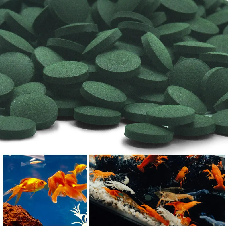 100/500/1000PCS Spirulina Flak - Fish Food Flake ulasan dan harga