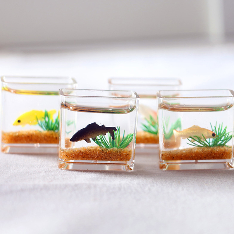 1Pc Mini Fish Tank Random Colo - Aquarium Fish Saltwater ulasan dan harga