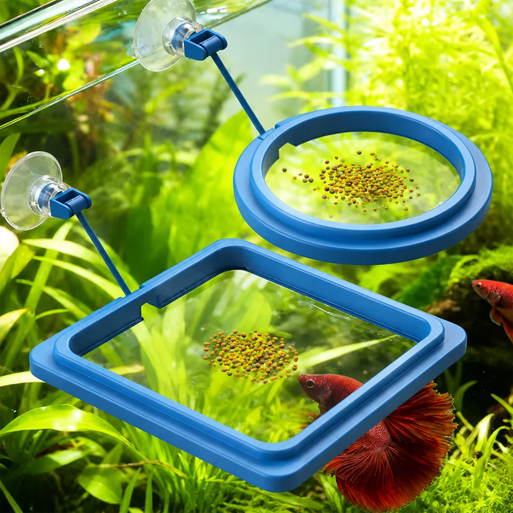 Betta Fish Food Floating Mini  - Fish Food Flake ulasan dan harga