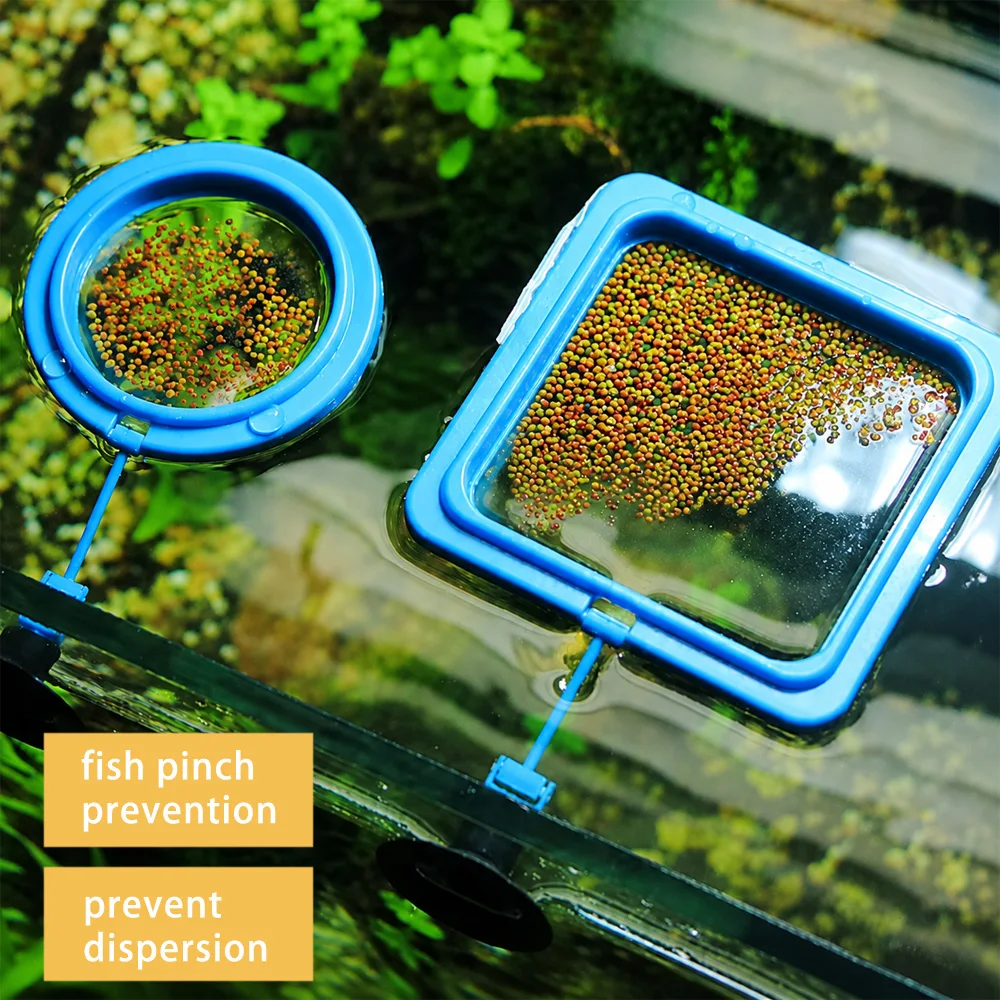 Betta Fish Food Floating Mini  - Fish Food Flake ulasan dan harga