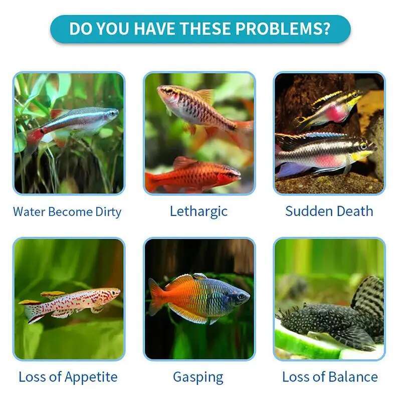 100pcs Nitrite Nitrate Chlorin - Aquarium Fish Quality ulasan dan harga
