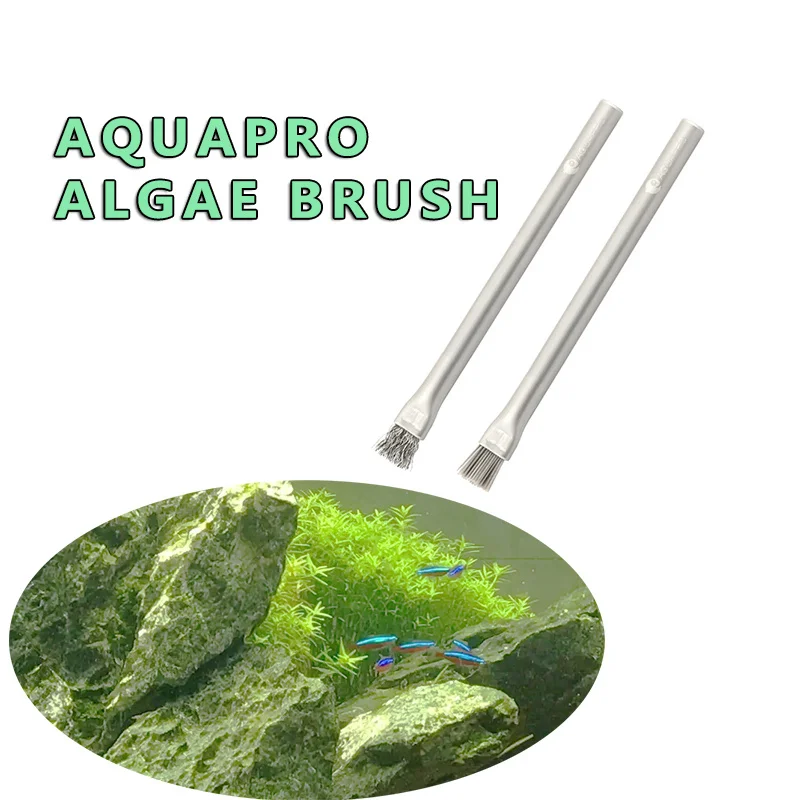 Aquapro Algae Brush Cleaning B - Aquarium Fish Quality ulasan dan harga