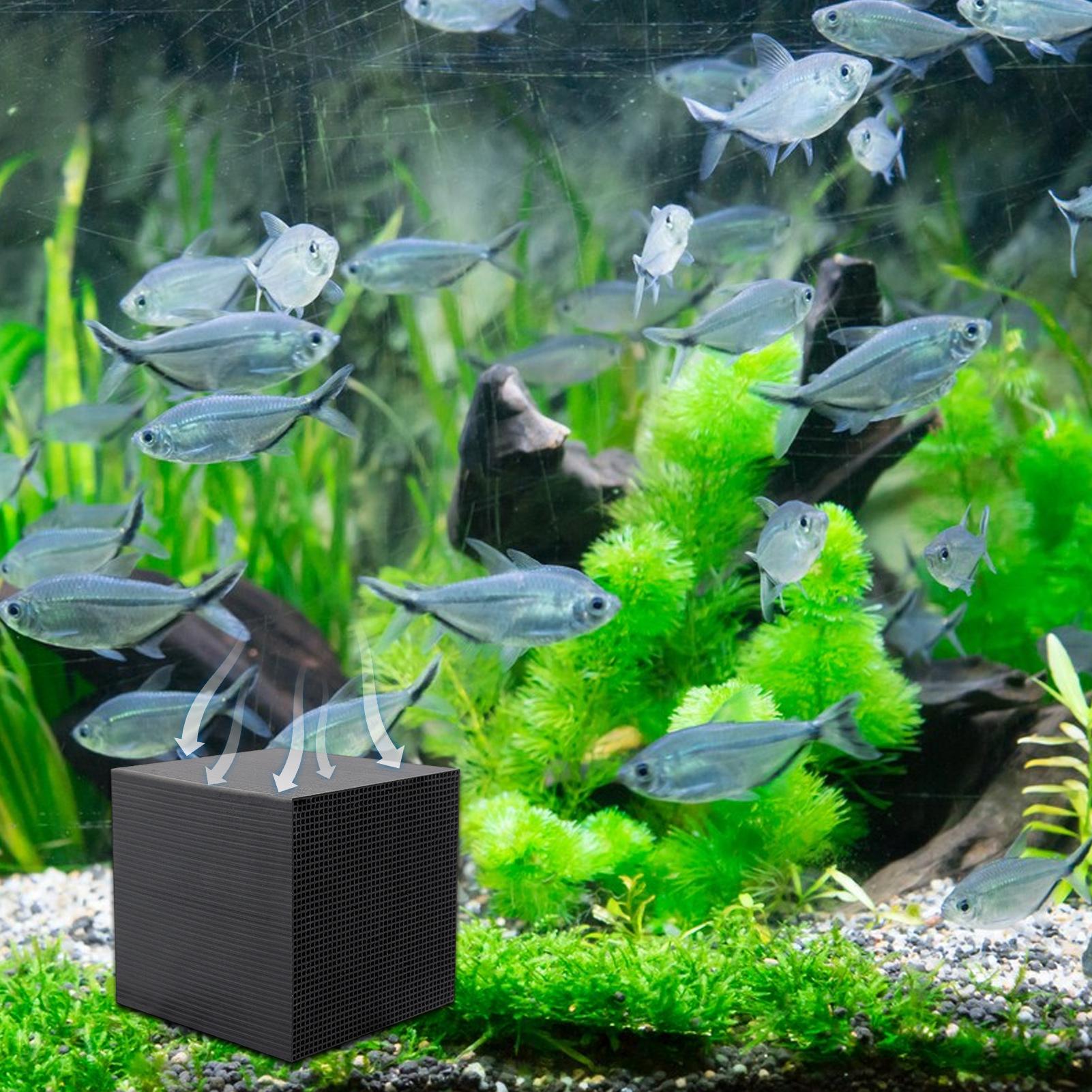 Aquarium Water Purifier Cube W - Aquarium Fish Lego ulasan dan harga