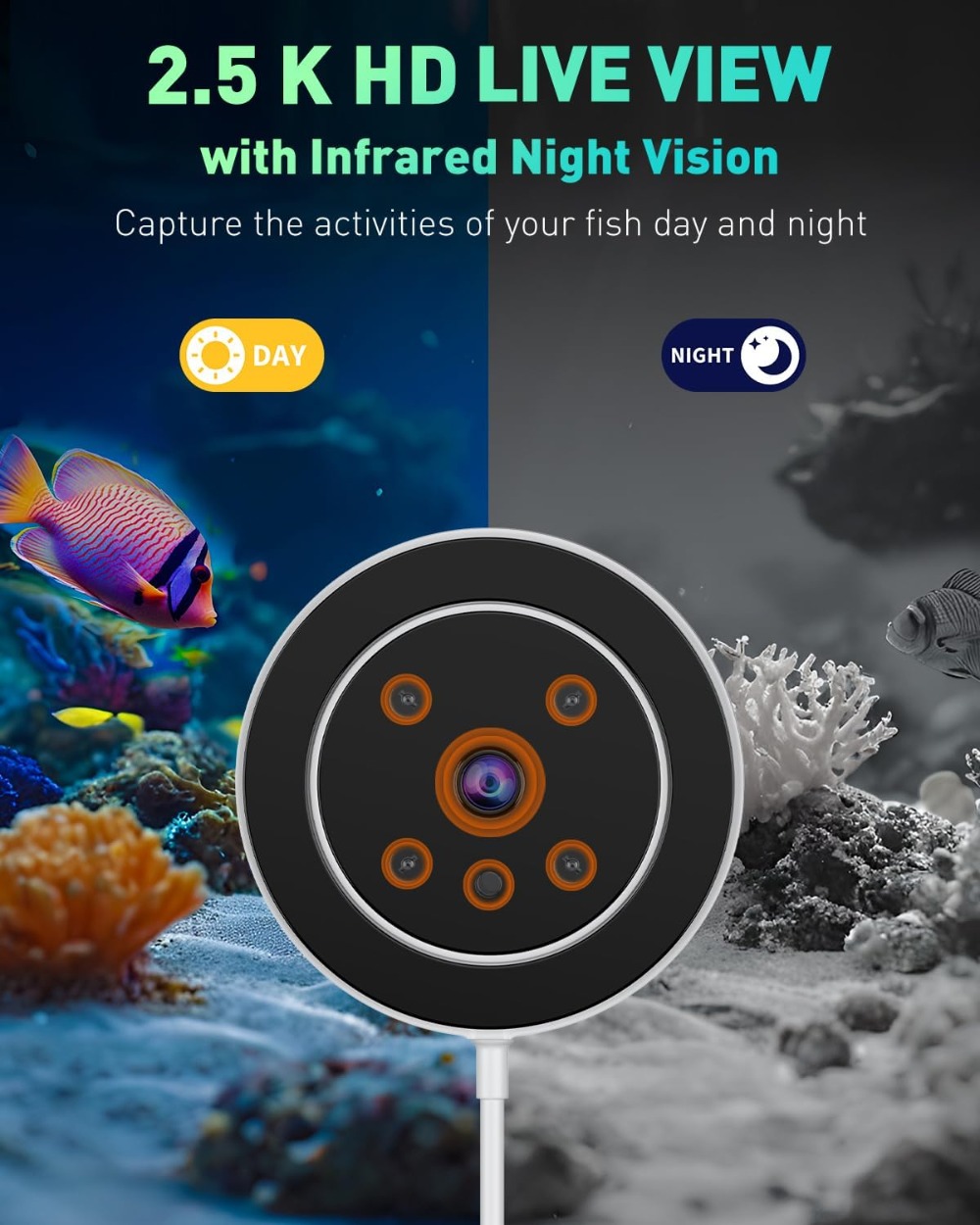 WiFi Automatic Fish Feeder for - Aquarium Fish Video ulasan dan harga