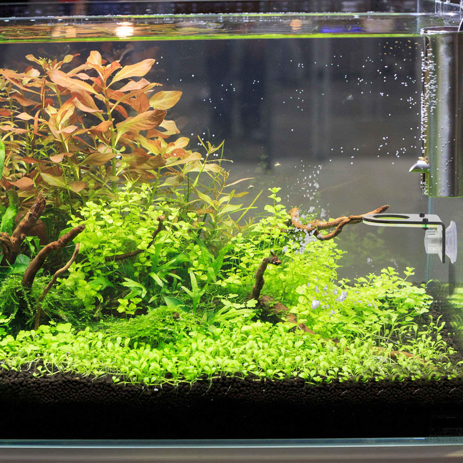 2Pcs High Quality Acrylic Cora - Aquarium Fish Quality ulasan dan harga