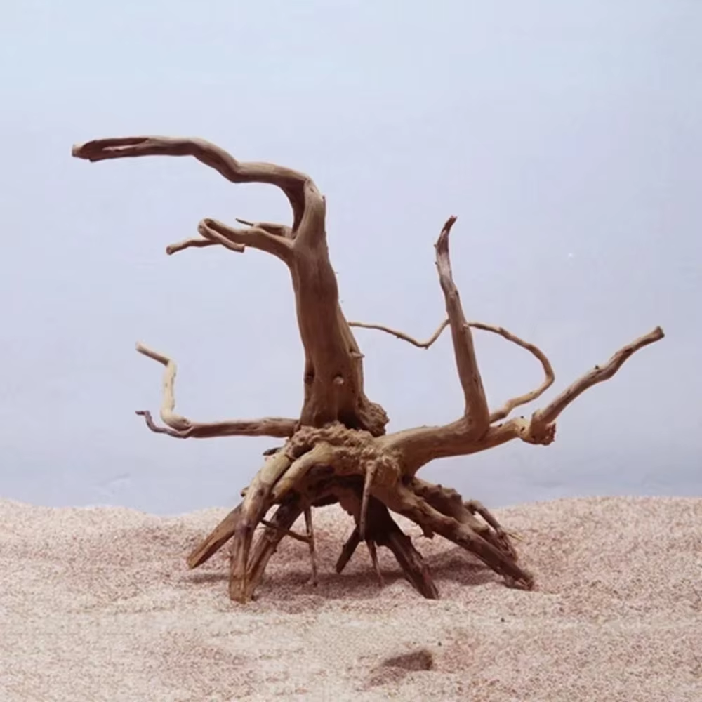 15-20CM Natural Driftwood Aqua - Aquarium Fish Saltwater ulasan dan harga
