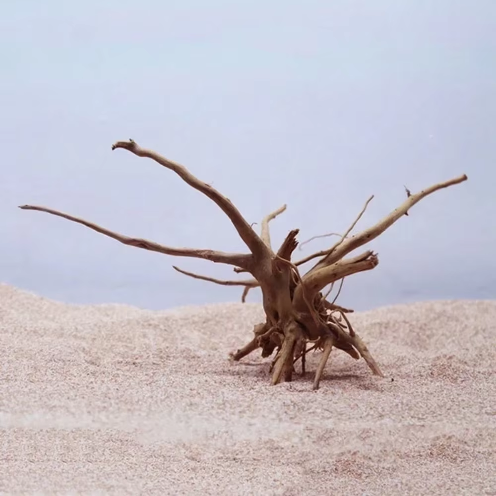 15-20CM Natural Driftwood Aqua - Aquarium Fish Saltwater ulasan dan harga