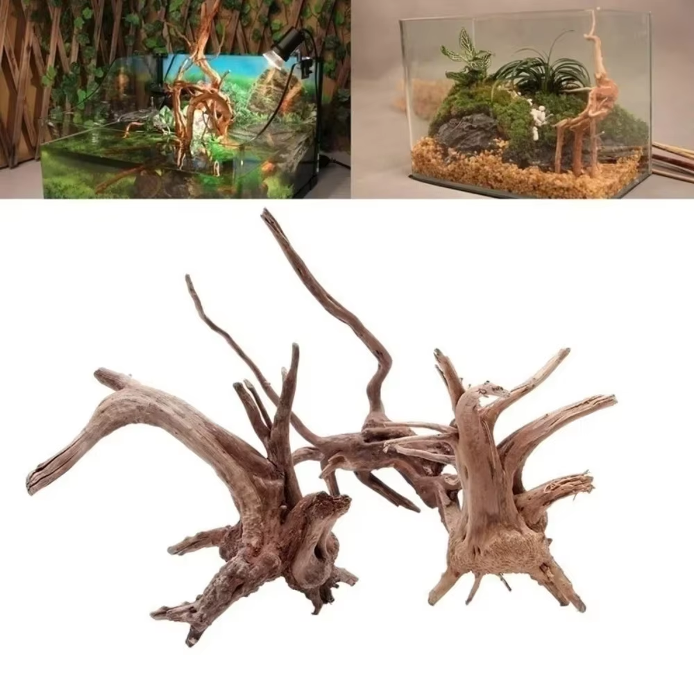 15-20CM Natural Driftwood Aqua - Aquarium Fish Saltwater ulasan dan harga