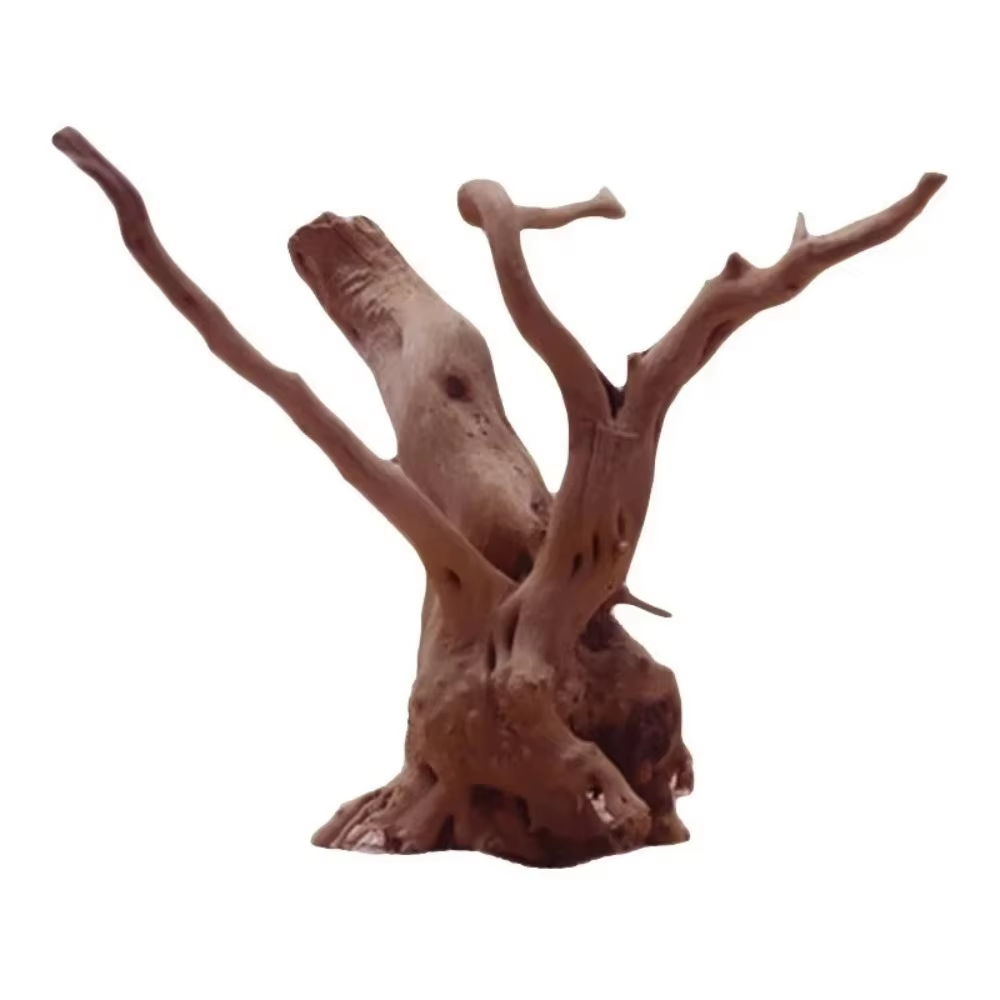 15-20CM Natural Driftwood Aqua - Aquarium Fish Saltwater ulasan dan harga
