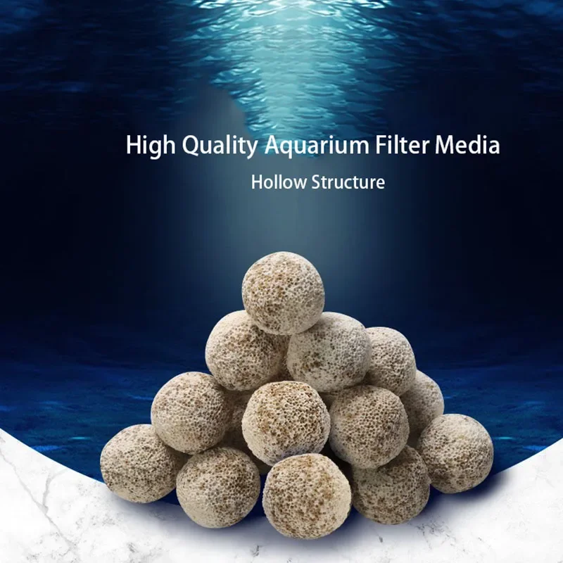 10pcs 20pcs High Quality  Aqua - Aquarium Fish Quality ulasan dan harga