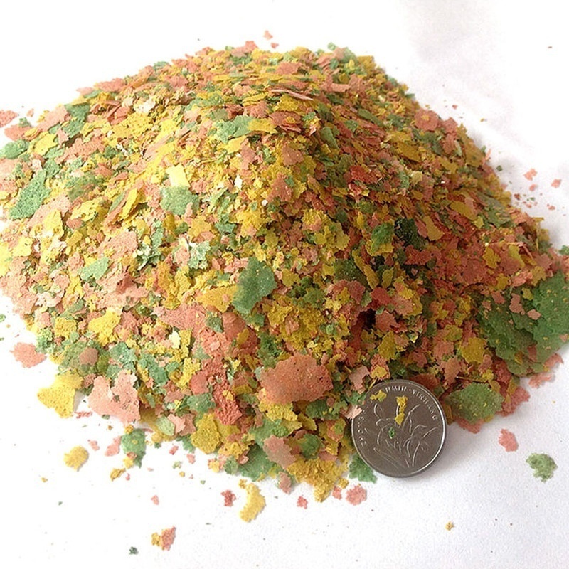 2026 Fresh Tropical Fish Flake - Fish Food Flake ulasan dan harga