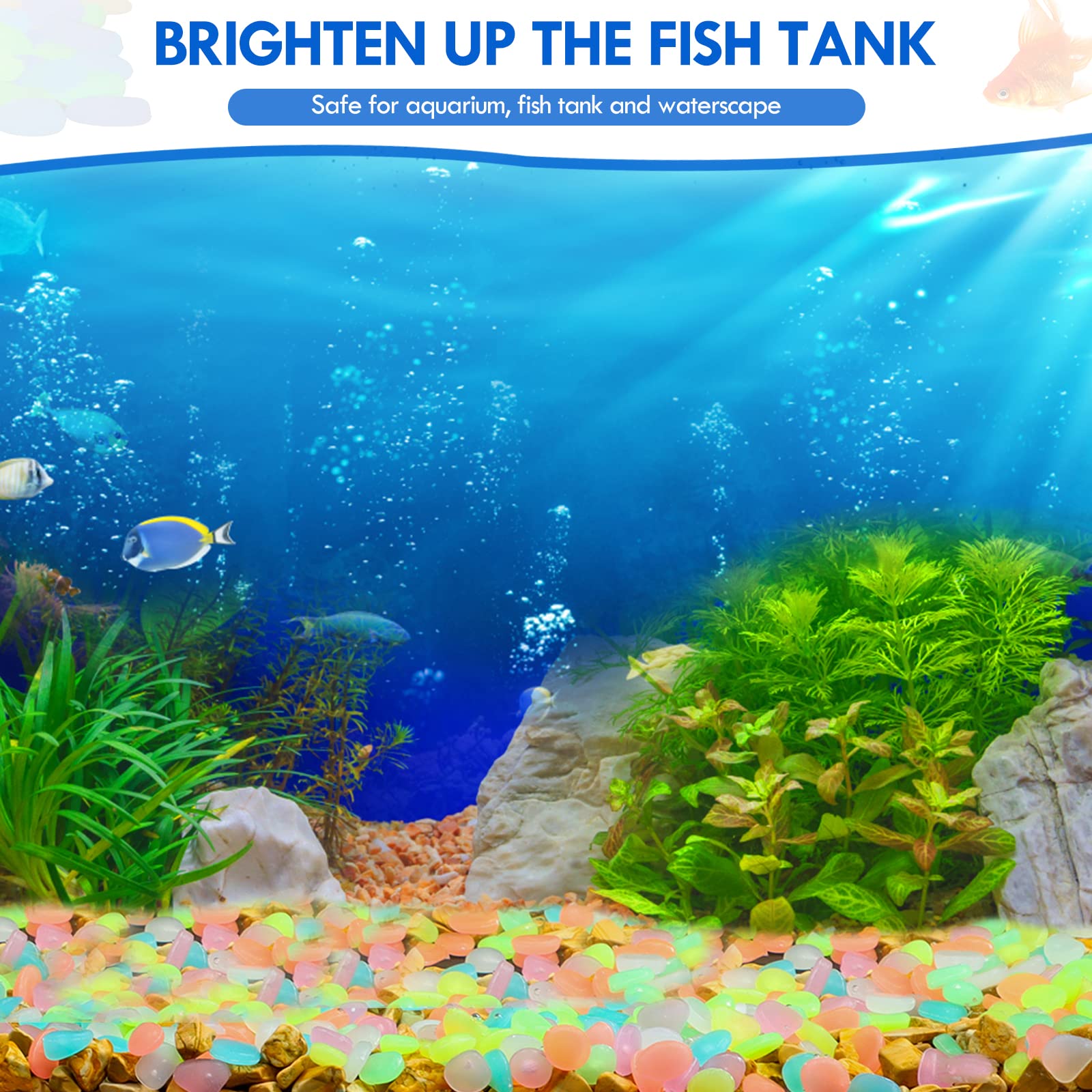 100Pcs Glow in the Dark Garden - Aquarium Fish Saltwater ulasan dan harga