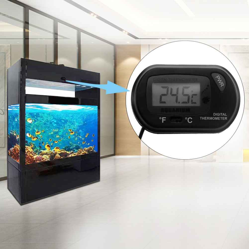 Aquarium Thermometer Suction C - Aquarium Fish And Supplies ulasan dan harga