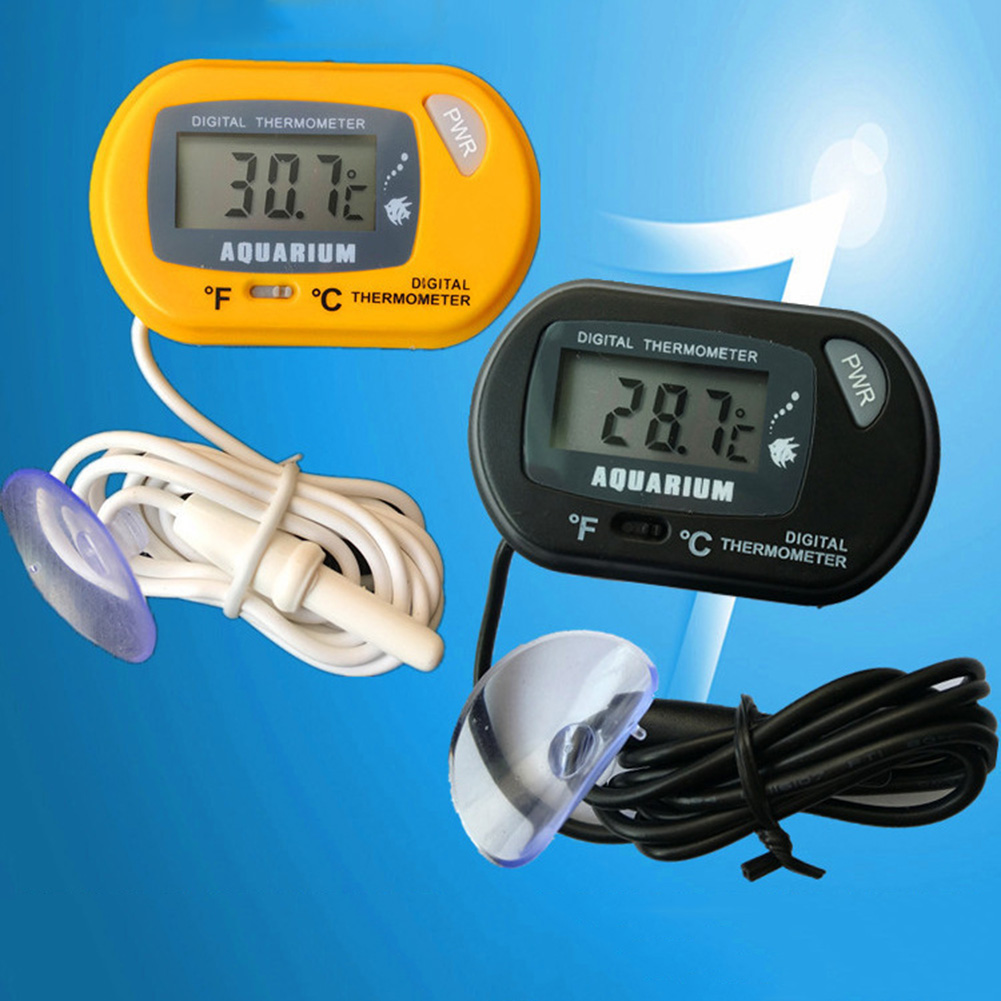 Aquarium Thermometer Suction C - Aquarium Fish And Supplies ulasan dan harga