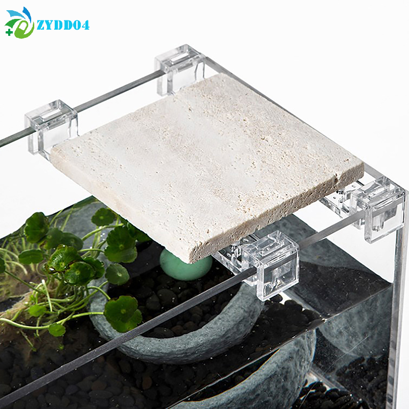 ●4pcs 6mm/8mm/10mm Fish Tank A - Aquarium Fish And Supplies ulasan dan harga