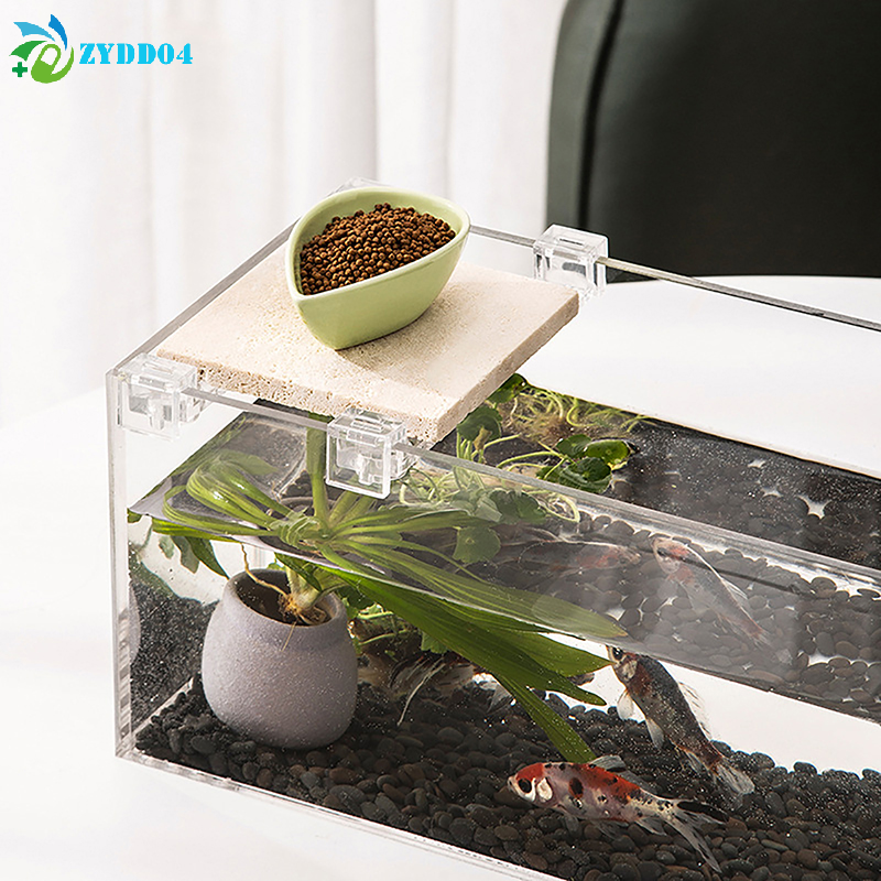 ●4pcs 6mm/8mm/10mm Fish Tank A - Aquarium Fish And Supplies ulasan dan harga