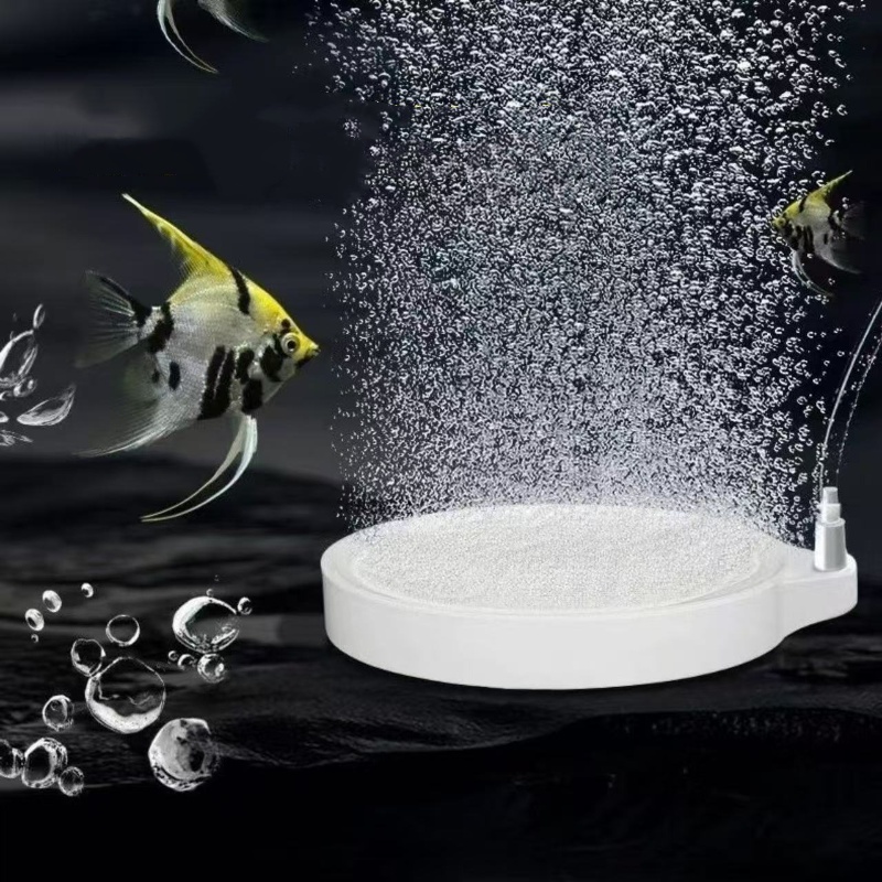 Air Stone Oxygen Fish Tank Aqu - Aquarium Fish And Supplies ulasan dan harga