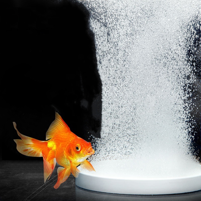 Air Stone Oxygen Fish Tank Aqu - Aquarium Fish And Supplies ulasan dan harga