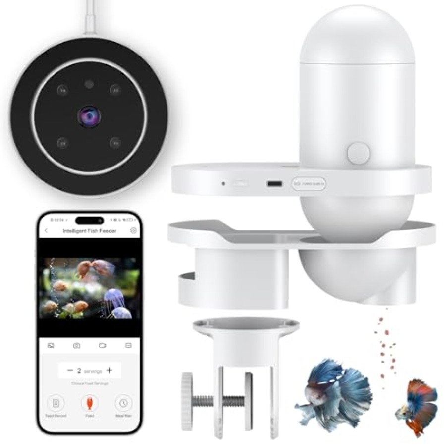Aquarium WiFi Automatic Fish F - Aquarium Fish Video ulasan dan harga
