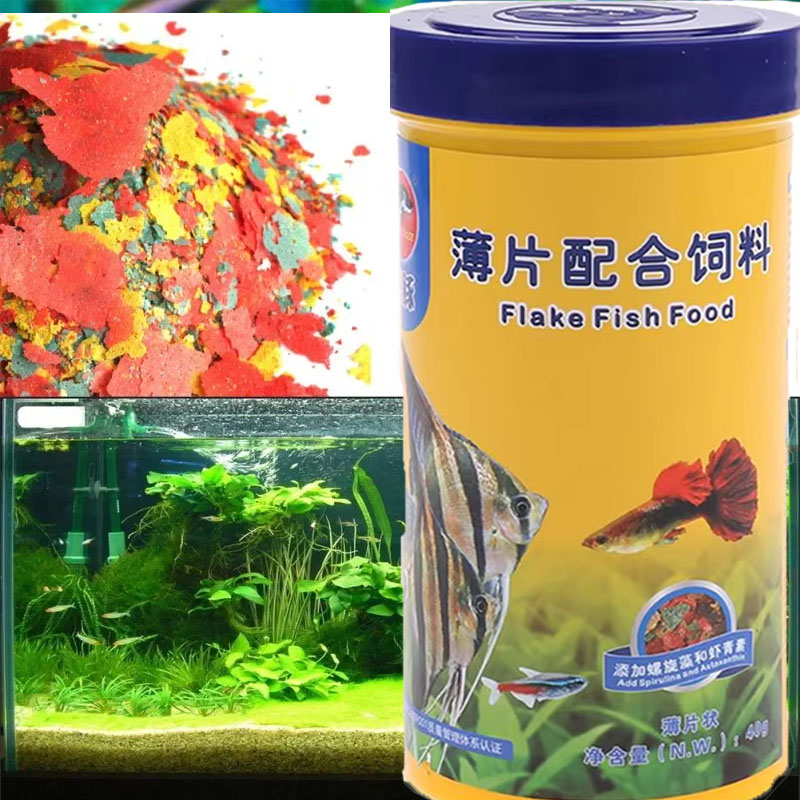 Fish Food Coloring and Brighte - Fish Food Flake ulasan dan harga