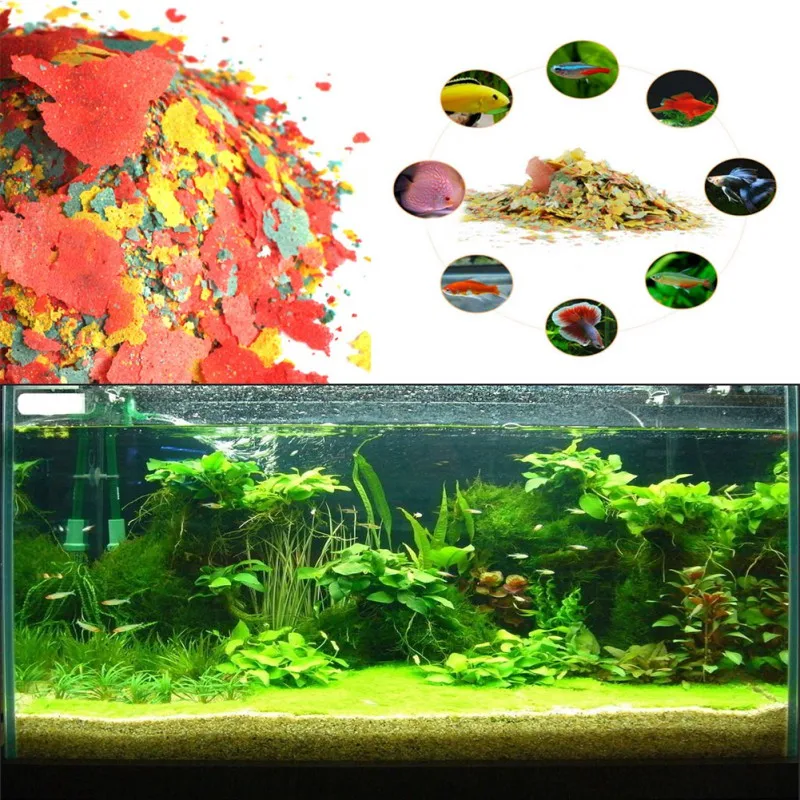 Fish Food Coloring and Brighte - Fish Food Flake ulasan dan harga