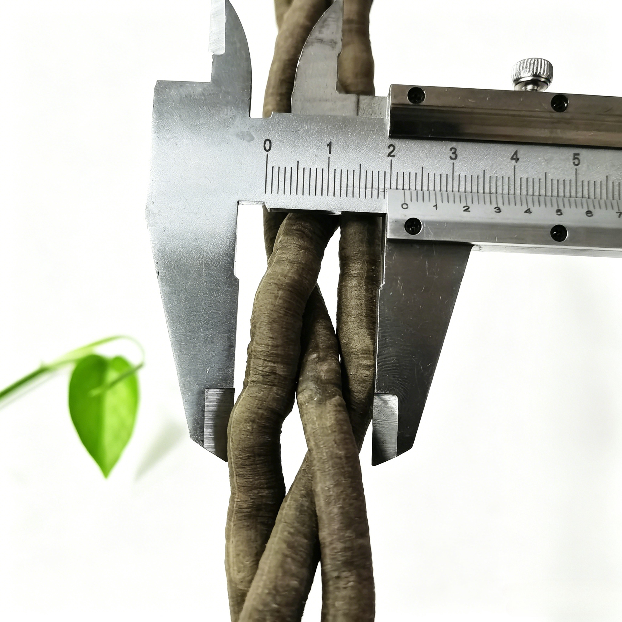100cm Artificial Vine Plant Cl - Aquarium Fish Saltwater ulasan dan harga