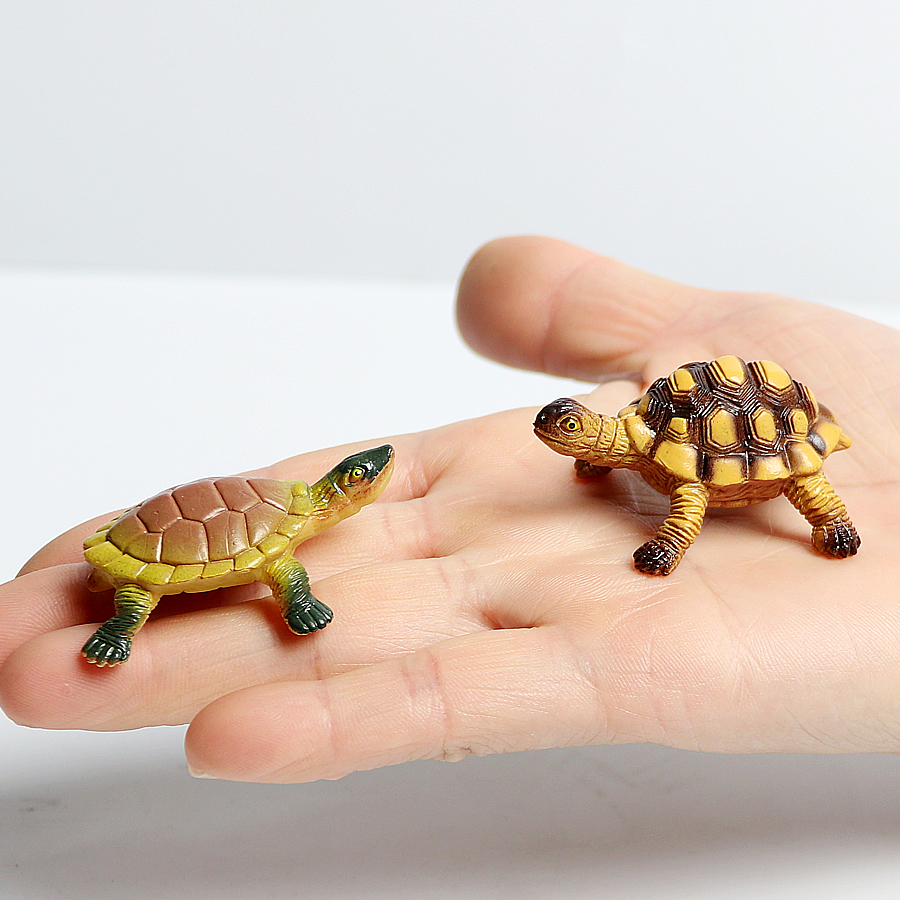 Realistic Miniatures Marine Li - Aquarium Fish Saltwater ulasan dan harga